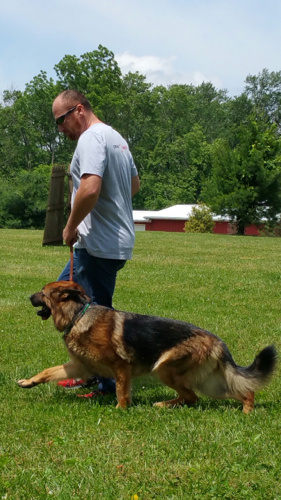 Client Training